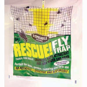 best fly traps to buy