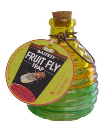 Fruit Fly Trap